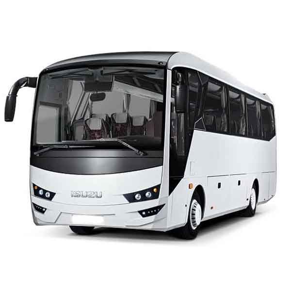 Luxury Bus fleet option